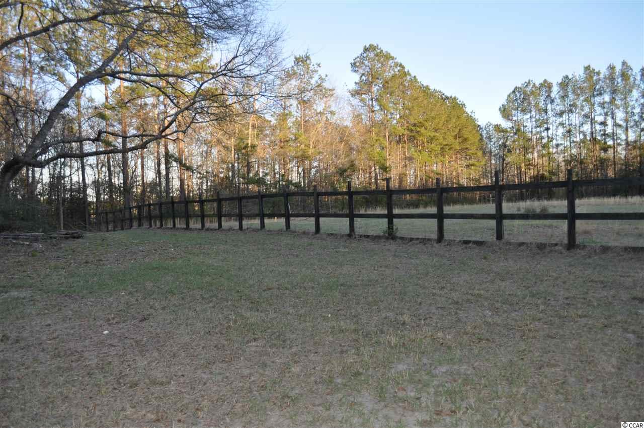 3351 Saints Delight Road Georgetown, SC 29440 - Photo 3 of 25 Gallery Image 3