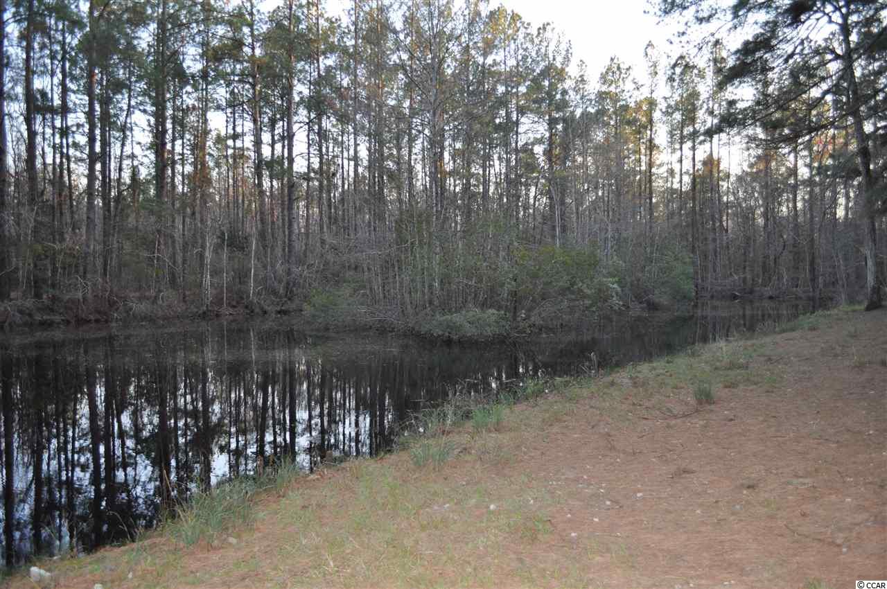 3351 Saints Delight Road Georgetown, SC 29440 - Photo 7 of 25 Gallery Image 7