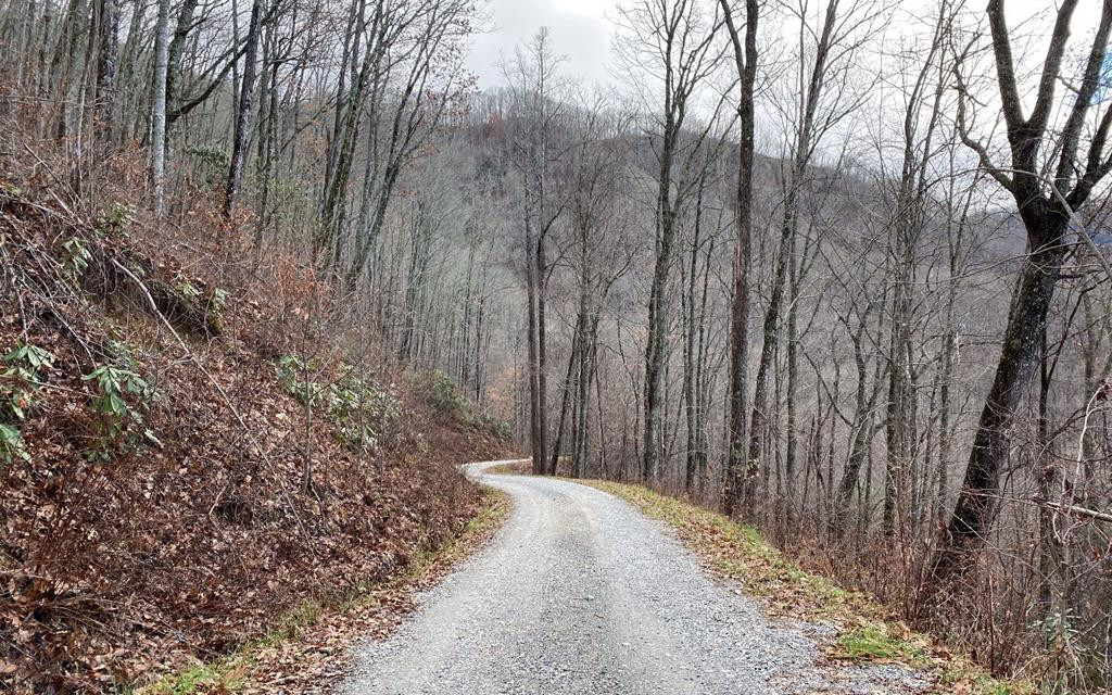 Lot Off Lot Off Buck Naked Road Bryson City, NC 28713 - Photo 4 of 7
