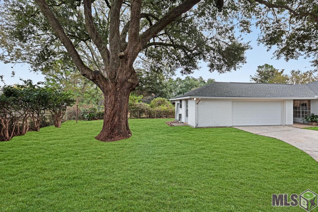 8947 Trinity Avenue Baton Rouge, LA 70806 - Photo 33 of 34 Yard