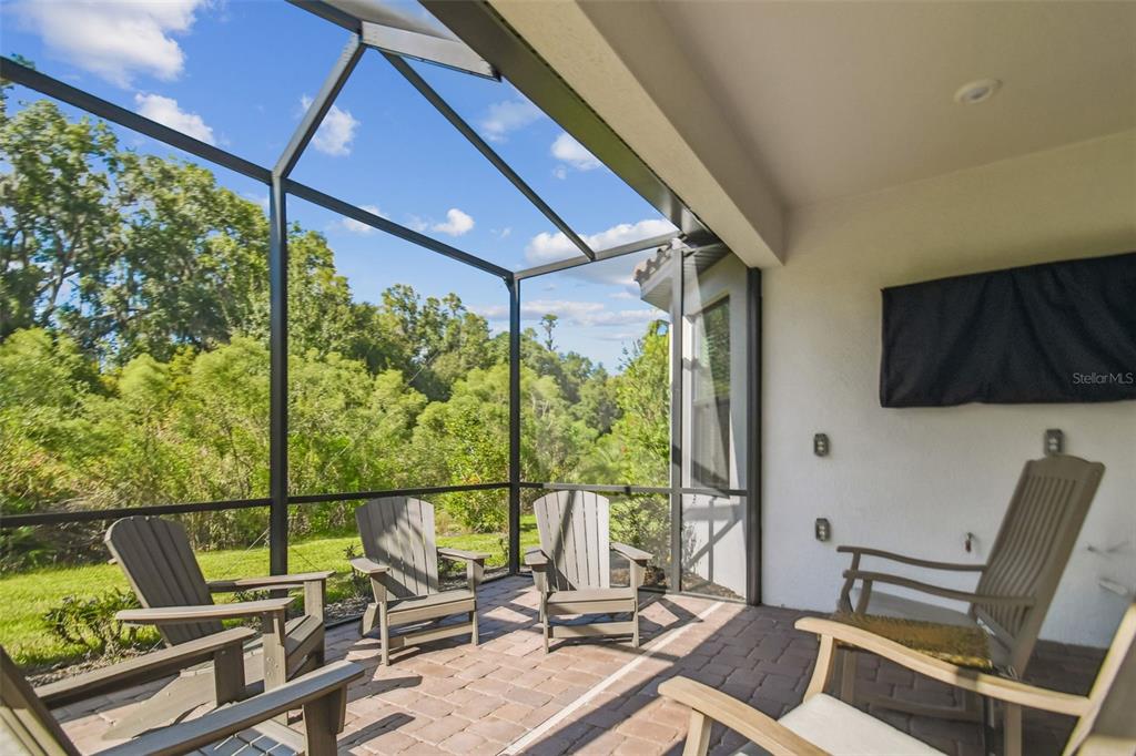 4399 Rosatti Road Wesley Chapel, FL 33543 - Photo 33 of 100