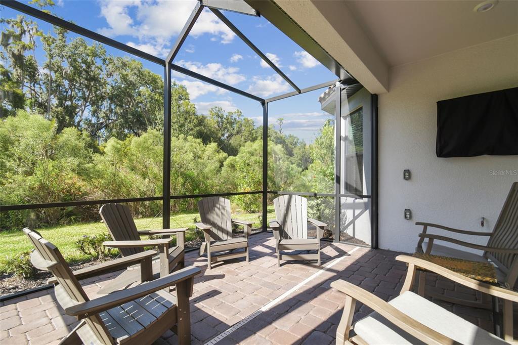 4399 Rosatti Road Wesley Chapel, FL 33543 - Photo 34 of 100