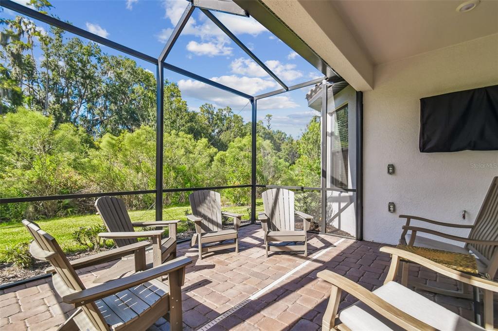 4399 Rosatti Road Wesley Chapel, FL 33543 - Photo 4 of 100