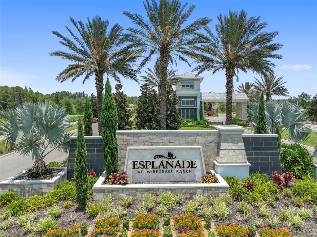 4399 Rosatti Road Wesley Chapel, FL 33543 - Photo 43 of 100