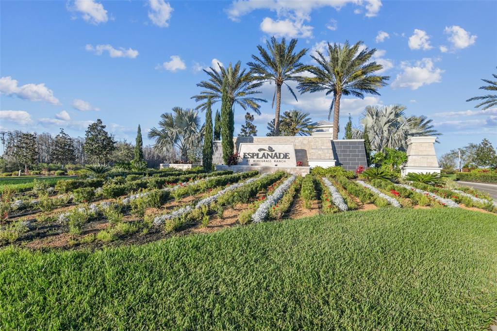 4399 Rosatti Road Wesley Chapel, FL 33543 - Photo 80 of 100