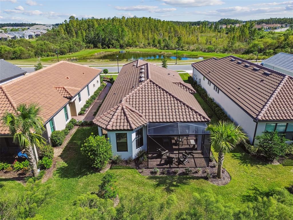 4399 Rosatti Road Wesley Chapel, FL 33543 - Photo 86 of 100