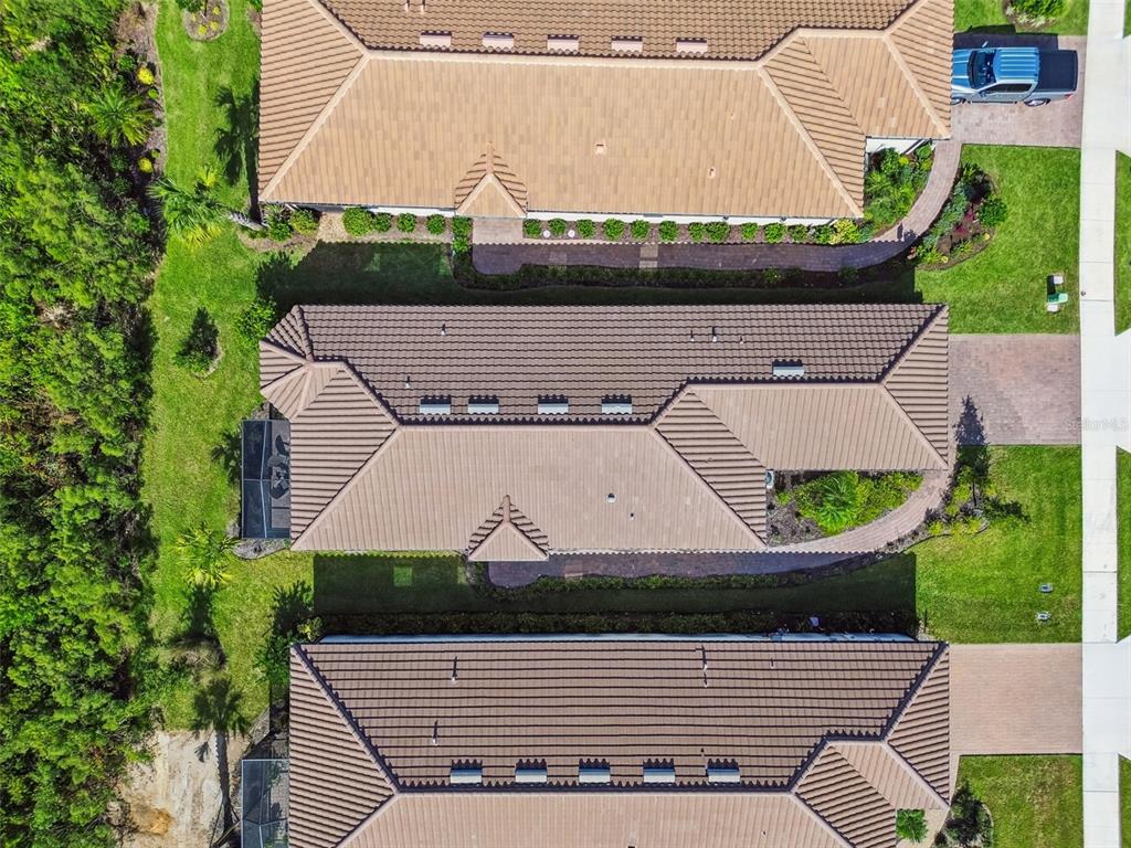 4399 Rosatti Road Wesley Chapel, FL 33543 - Photo 88 of 100