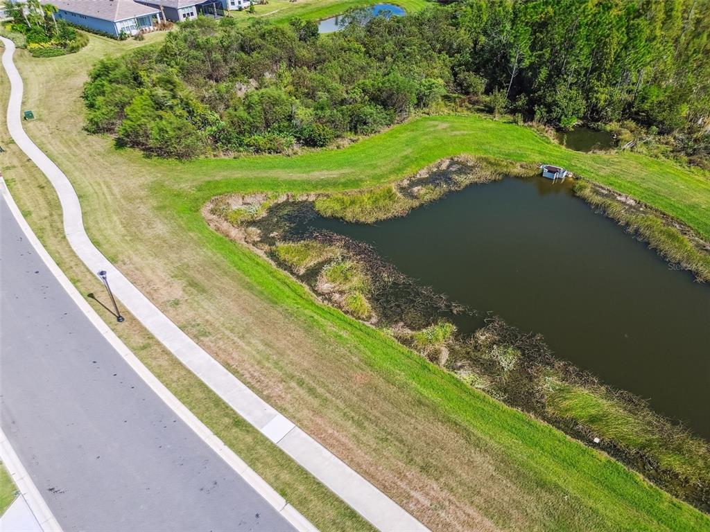 4399 Rosatti Road Wesley Chapel, FL 33543 - Photo 89 of 100