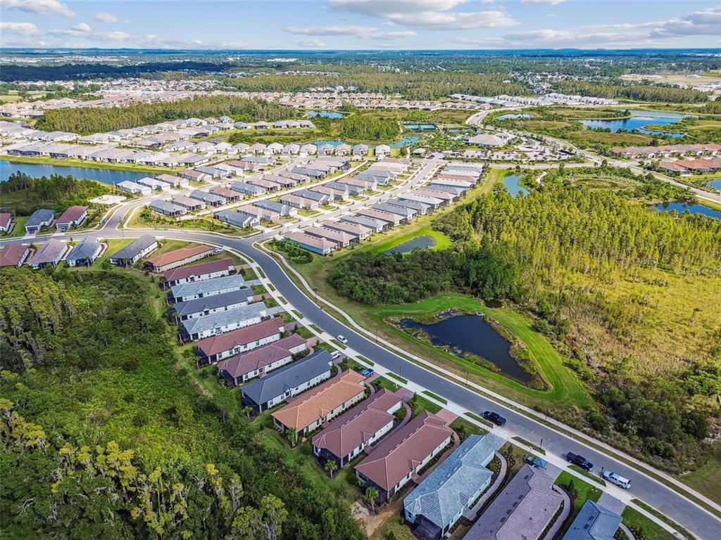 4399 Rosatti Road Wesley Chapel, FL 33543 - Photo 90 of 100