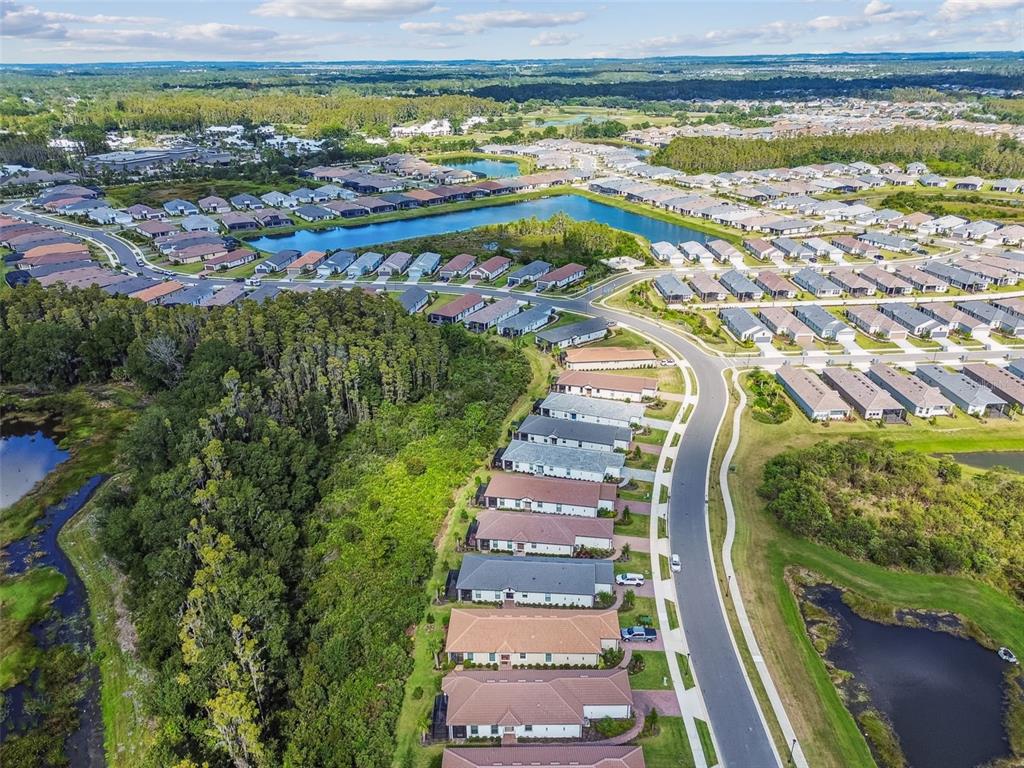 4399 Rosatti Road Wesley Chapel, FL 33543 - Photo 91 of 100