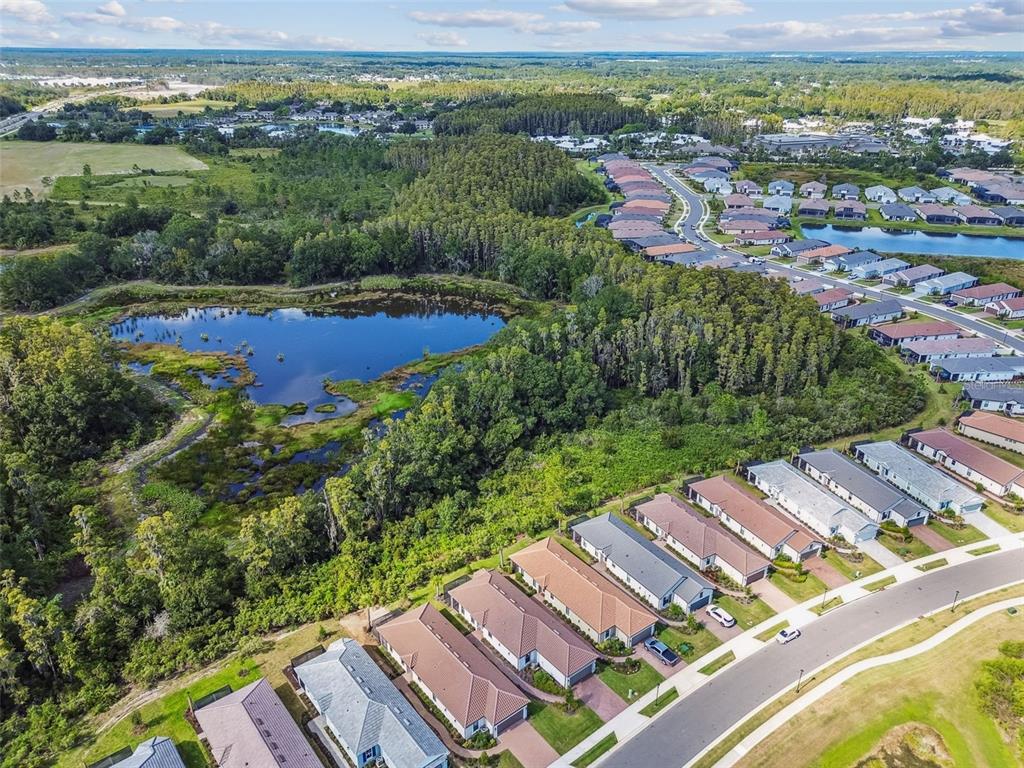 4399 Rosatti Road Wesley Chapel, FL 33543 - Photo 92 of 100