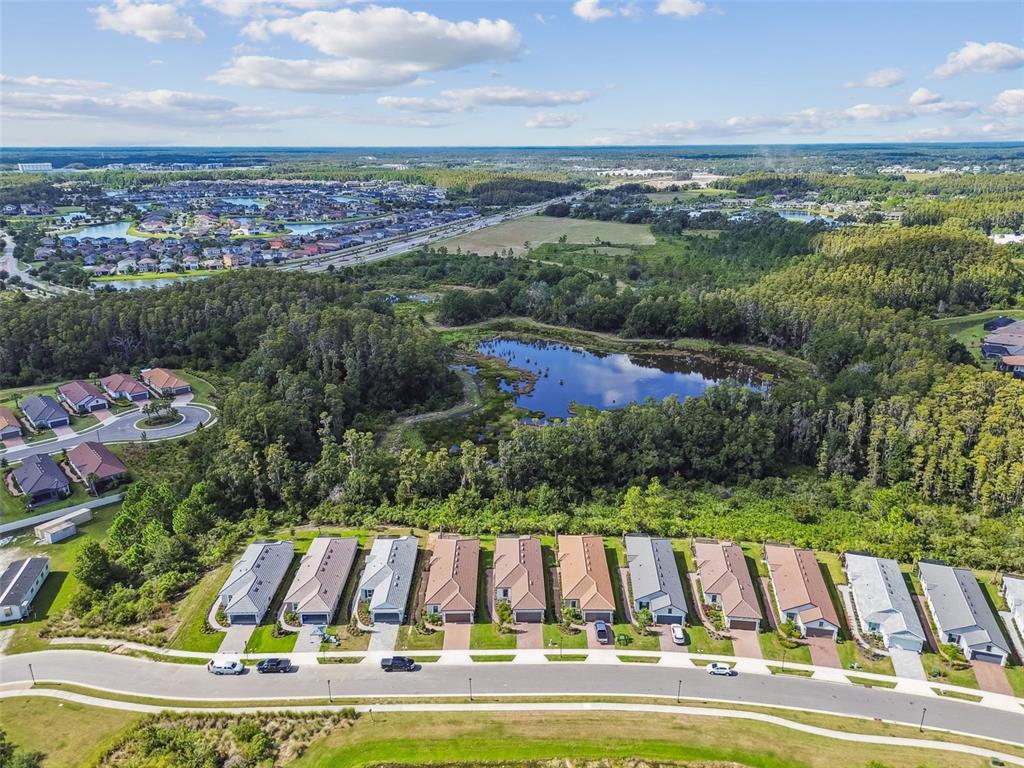 4399 Rosatti Road Wesley Chapel, FL 33543 - Photo 93 of 100