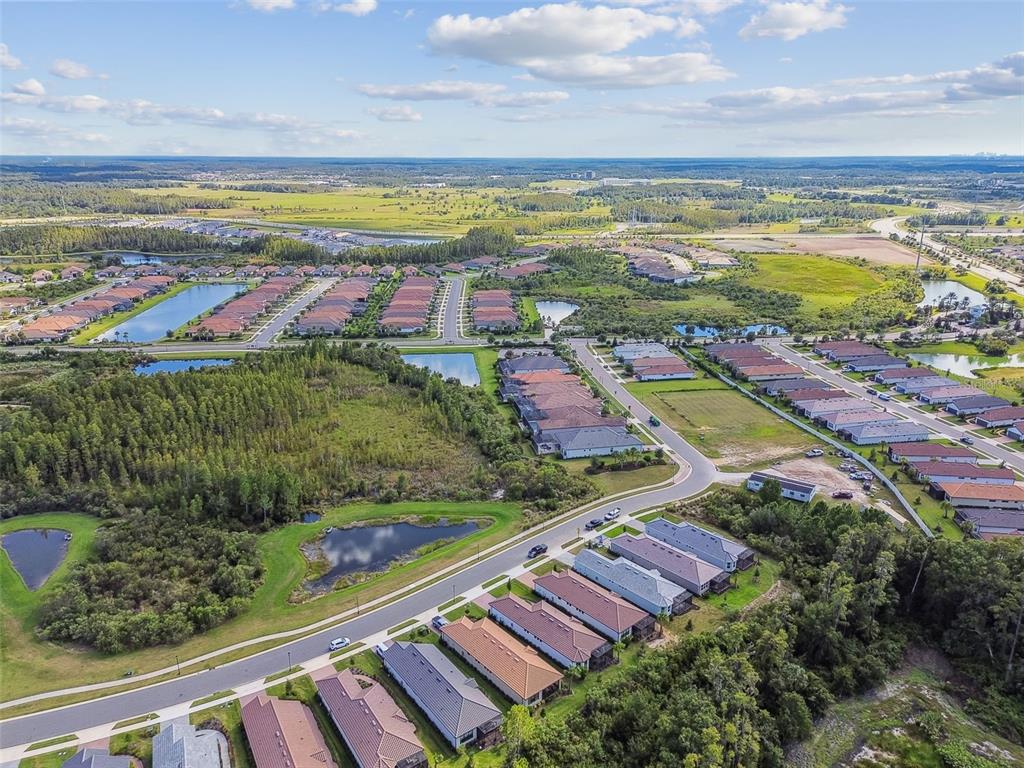 4399 Rosatti Road Wesley Chapel, FL 33543 - Photo 94 of 100