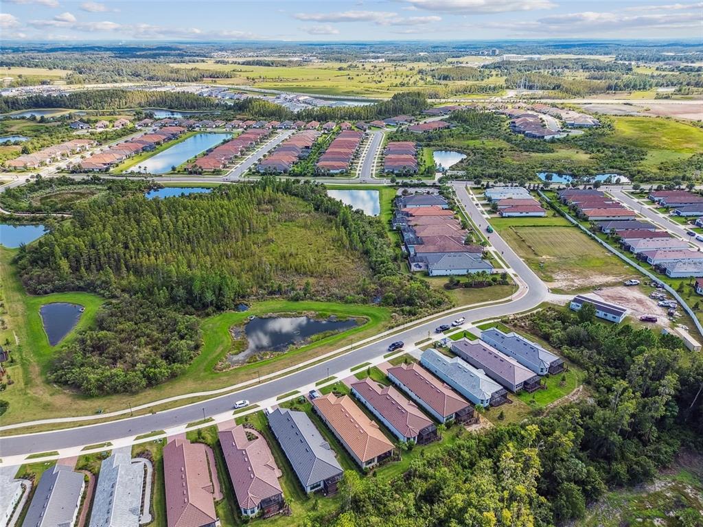 4399 Rosatti Road Wesley Chapel, FL 33543 - Photo 95 of 100