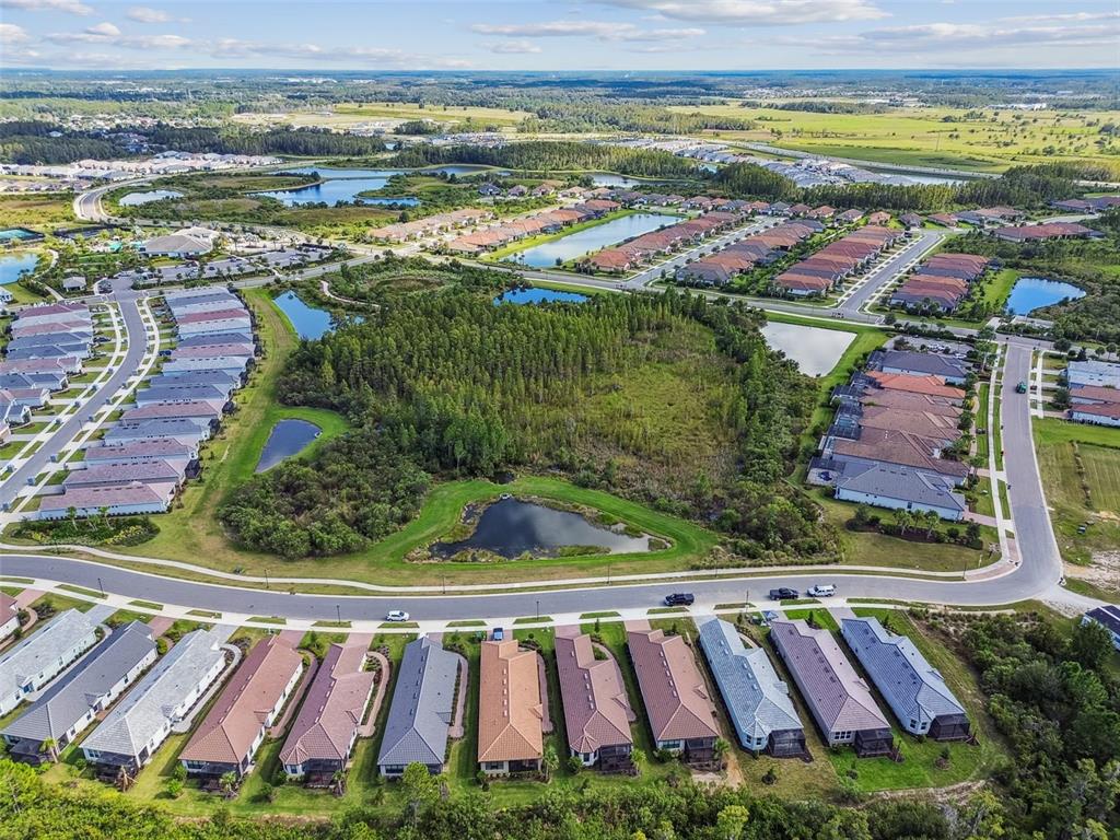 4399 Rosatti Road Wesley Chapel, FL 33543 - Photo 96 of 100