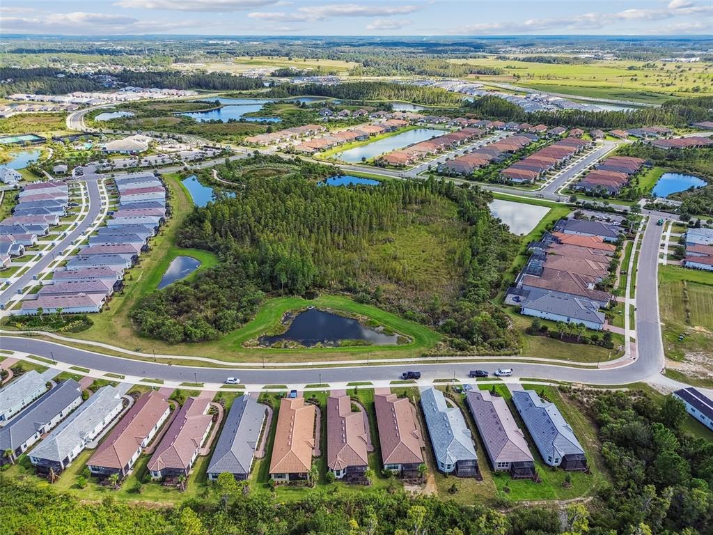 4399 Rosatti Road Wesley Chapel, FL 33543 - Photo 97 of 100