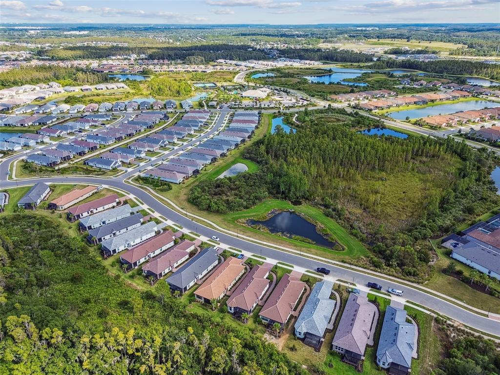 4399 Rosatti Road Wesley Chapel, FL 33543 - Photo 98 of 100