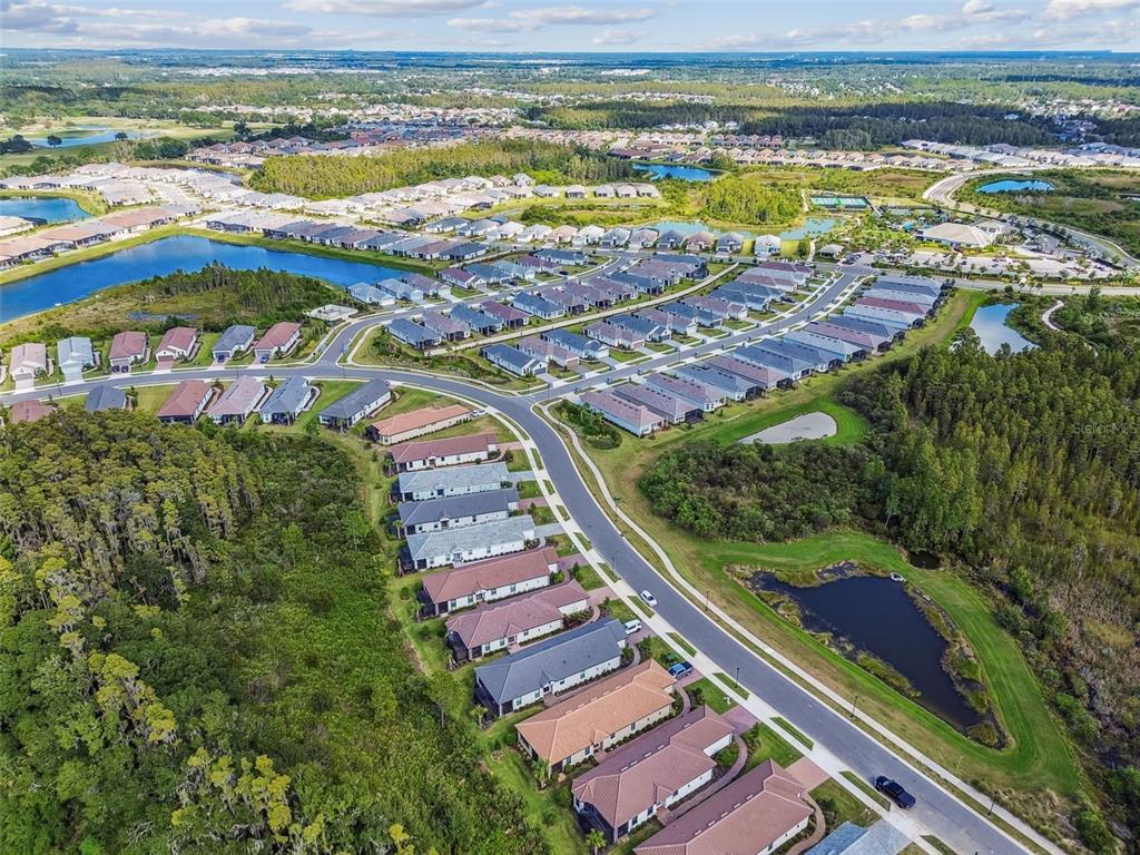 4399 Rosatti Road Wesley Chapel, FL 33543 - Photo 99 of 100