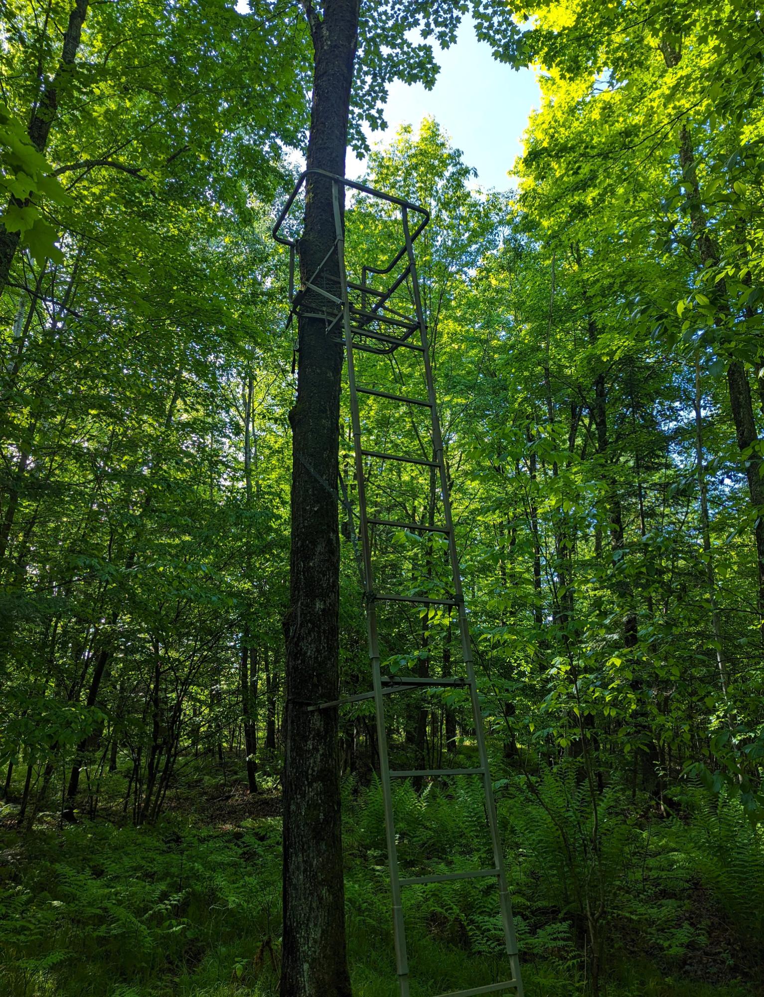 N14497 Boruta Road Park Falls, WI 54552 - Photo 27 of 57 Gallery Image 27