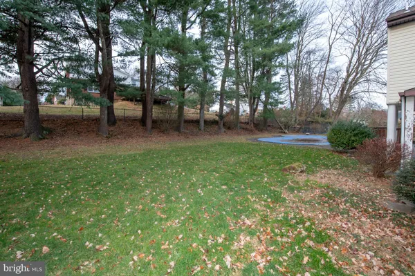 a view of park with trees