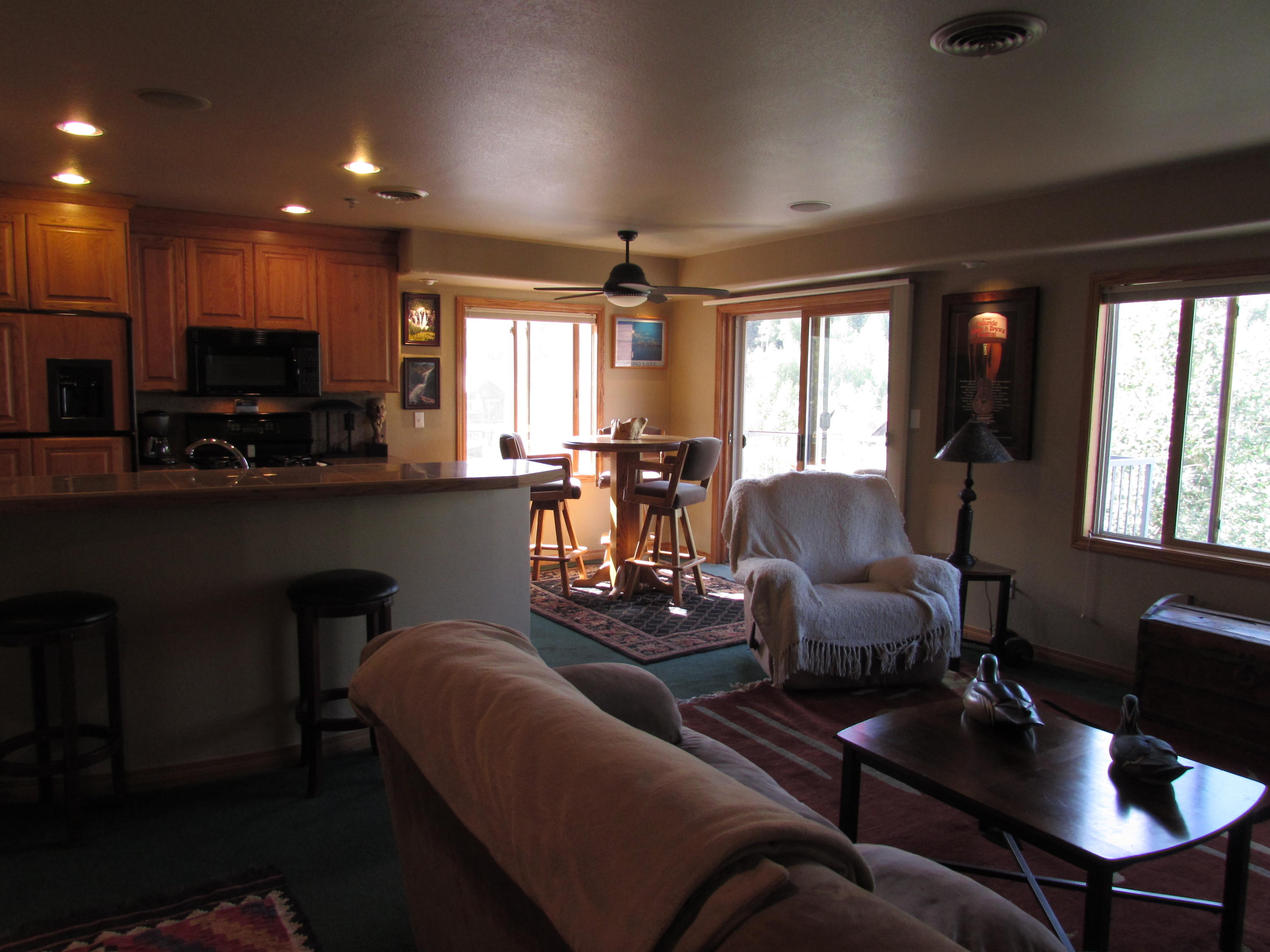 319 Adams Ranch Road, Unit 902 Mountain Village, CO 81435 - Photo 4 of 11 IMG_0318