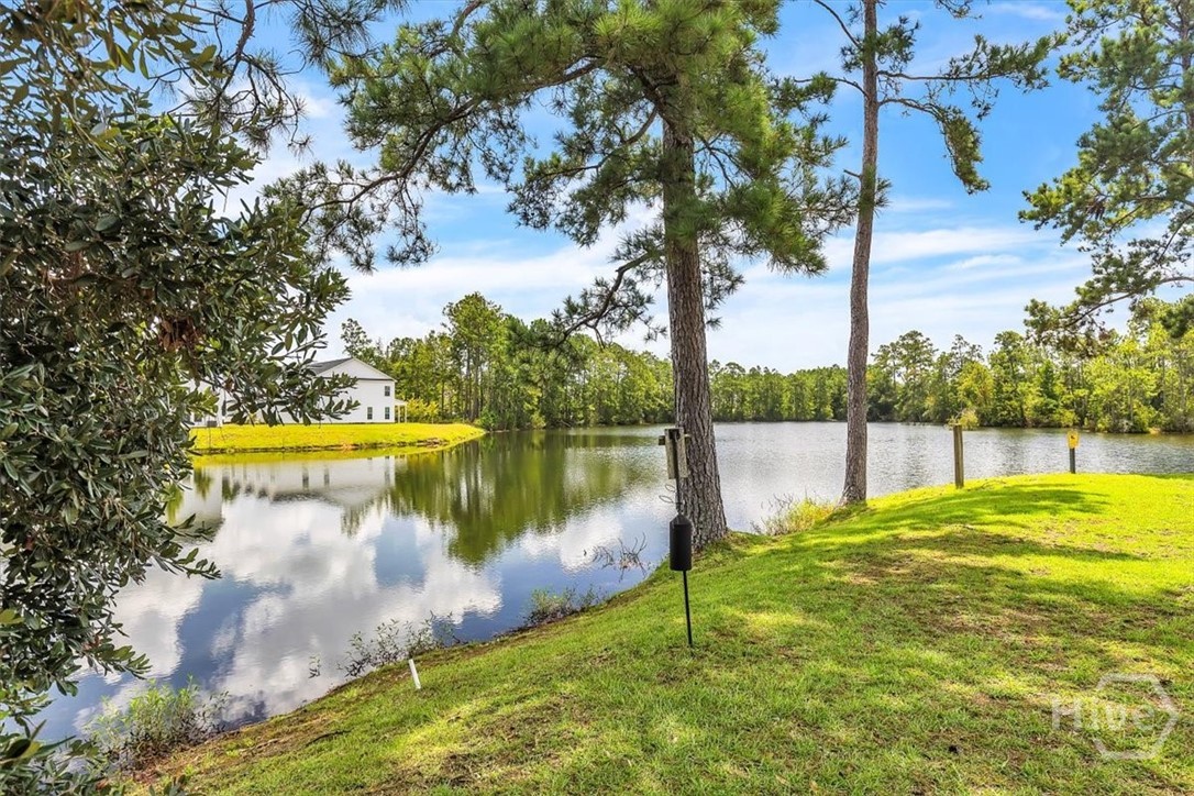 248 Opus Court Pooler, GA 31322 - Photo 4 of 32