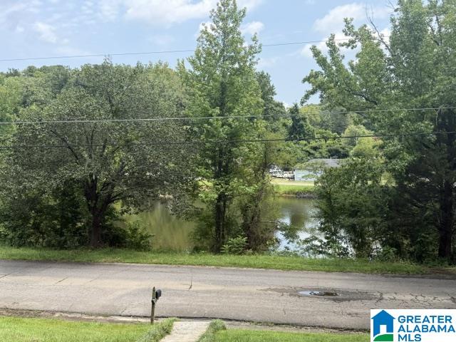2606 Rainer Drive Northeast Center Point, AL 35215 - Photo 3 of 8