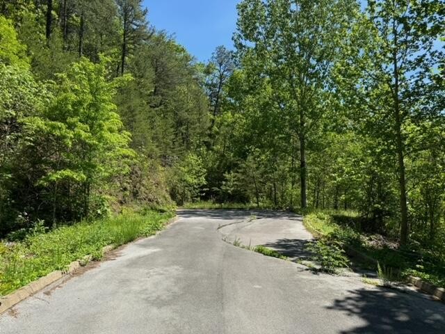 2481 Happy Hollow Road Sevierville, TN 37862 - Photo 22 of 30 Gallery Image 22