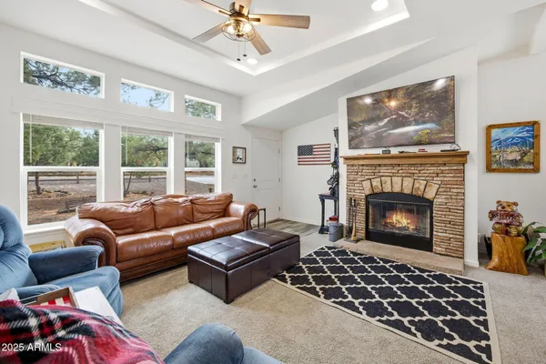 a living room with furniture a rug and a fireplace