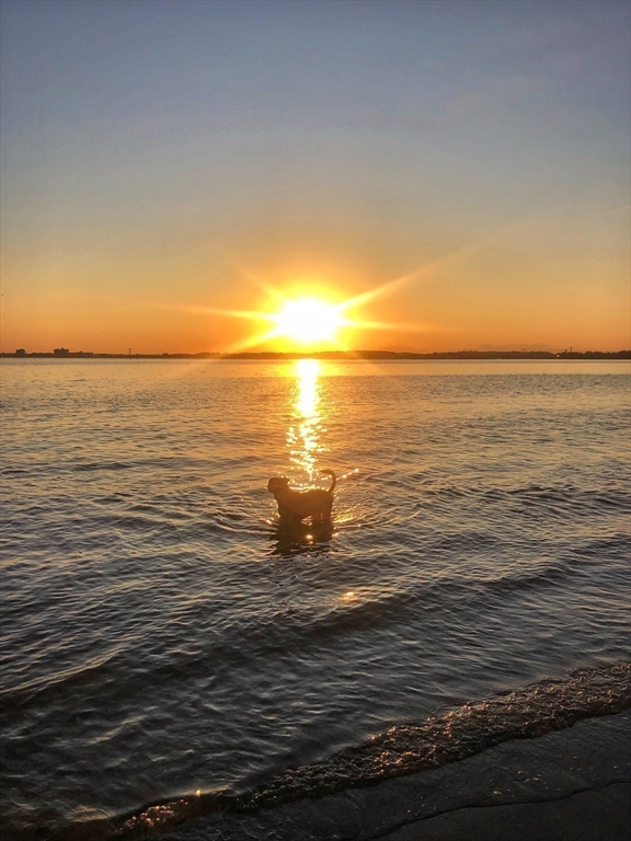 55 Castle Road Nahant, MA 01908 - Photo 26 of 32 a view of an ocean