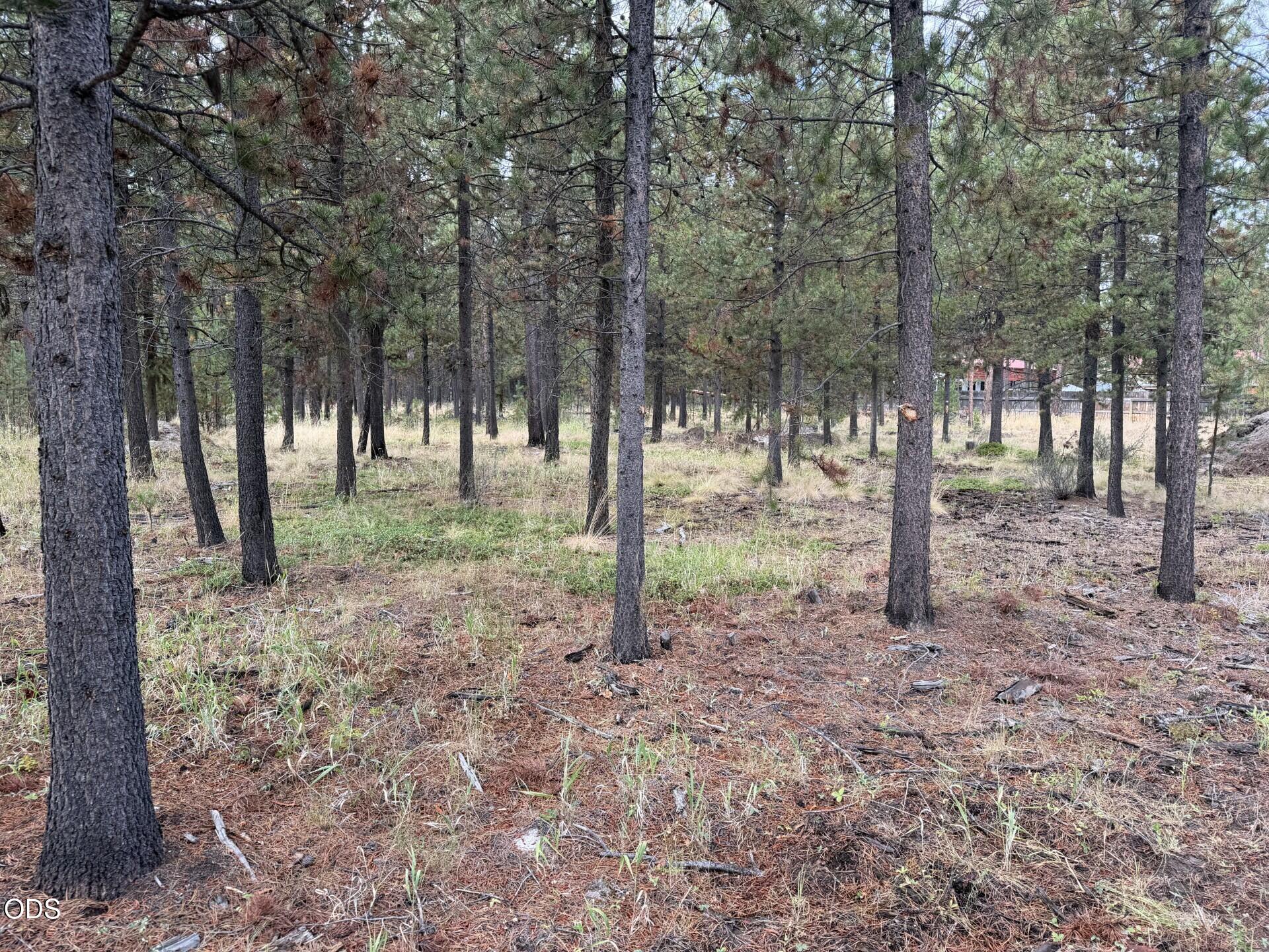 17114 Indio Road Bend, OR 97707 - Photo 6 of 9 Gallery Image 6