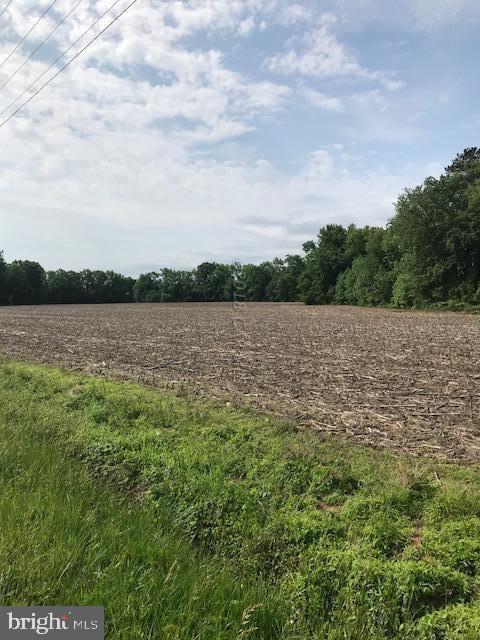 Cherry Walk Road Hebron, MD 21830 - Photo 2 of 4