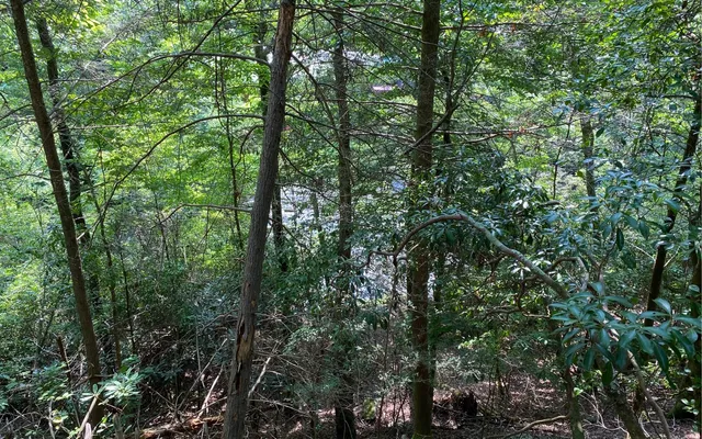 $69,900 | Lot 645 Wedowee Court, Ellijay, GA 30540
