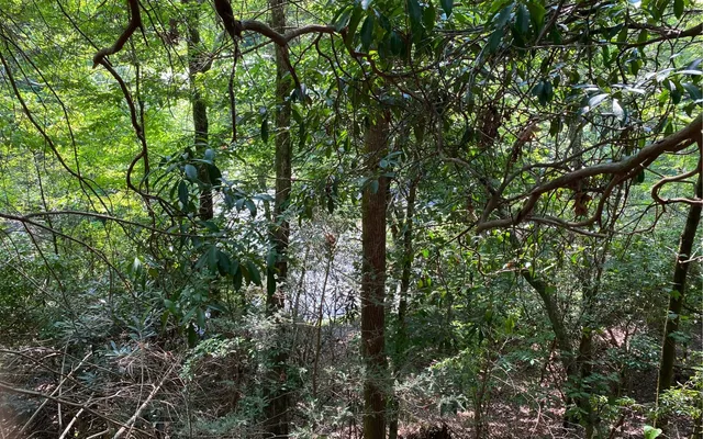 $69,900 | Lot 645 Wedowee Court, Ellijay, GA 30540