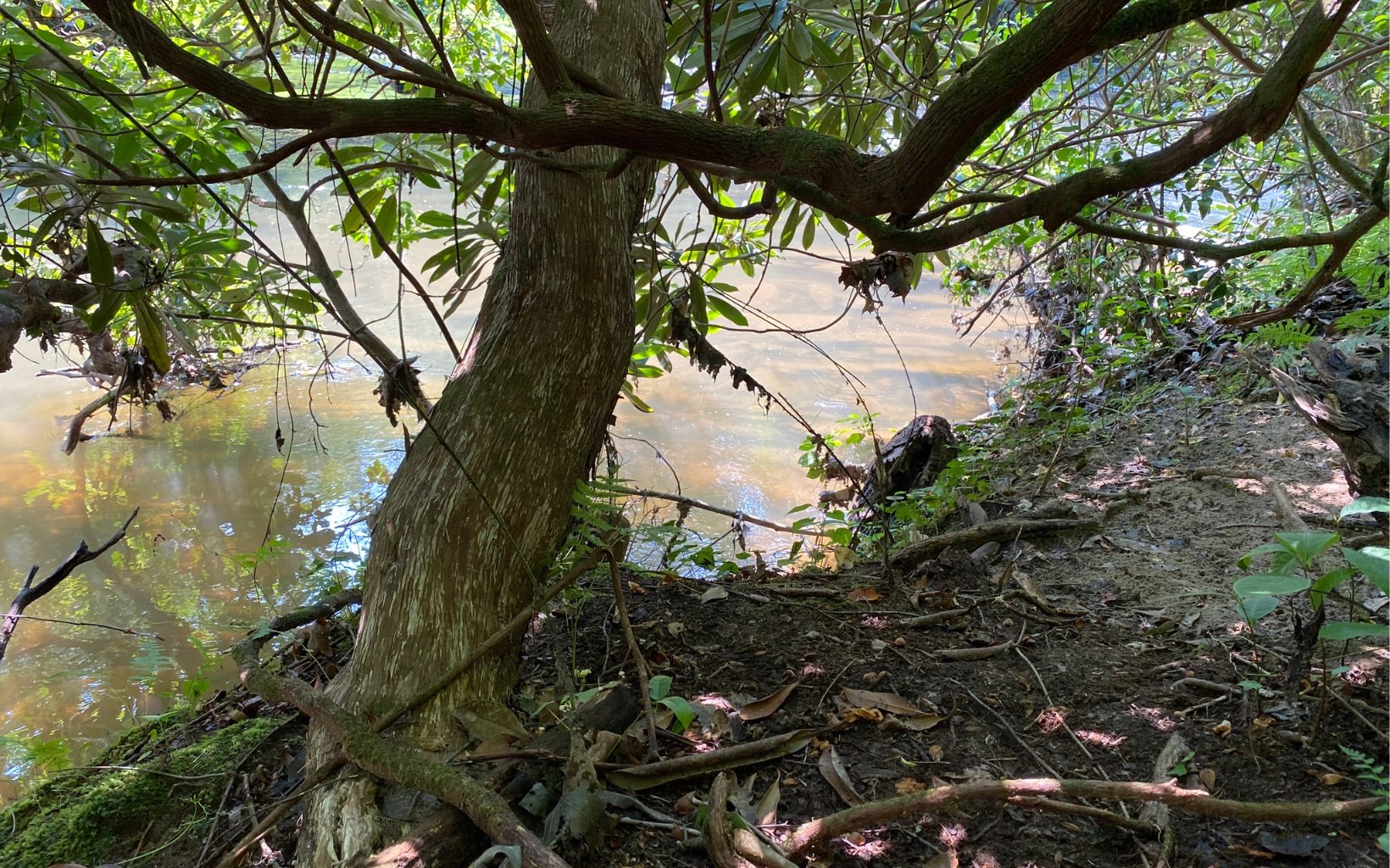 Lot 645 Wedowee Court Ellijay, GA 30540 - Photo 15 of 36 Additional View