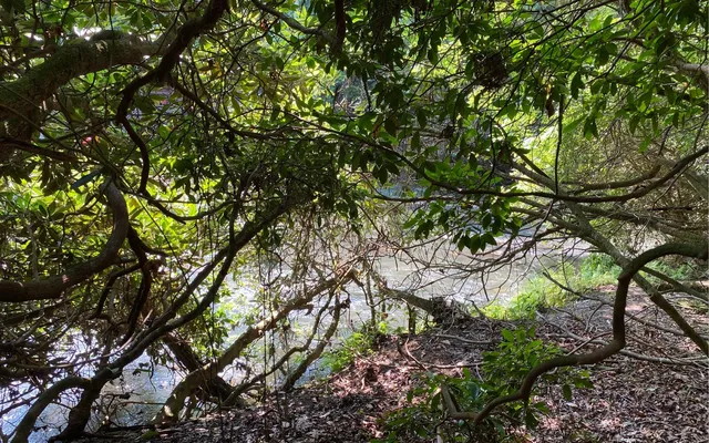 $69,900 | Lot 645 Wedowee Court, Ellijay, GA 30540