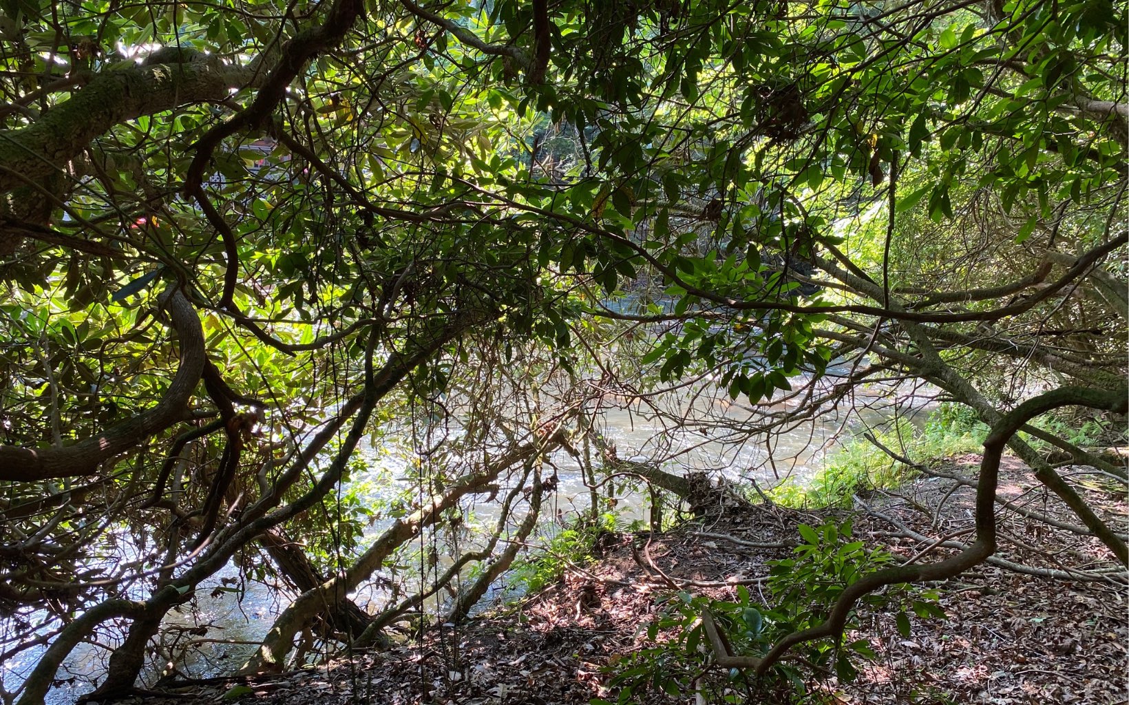 Lot 645 Wedowee Court Ellijay, GA 30540 - Photo 17 of 36 Additional View