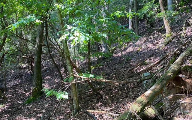 $69,900 | Lot 645 Wedowee Court, Ellijay, GA 30540