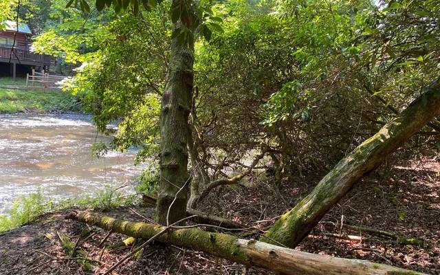 $69,900 | Lot 645 Wedowee Court, Ellijay, GA 30540