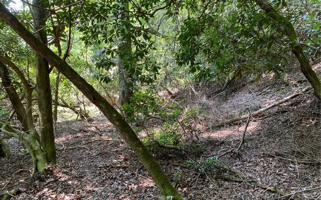 $69,900 | Lot 645 Wedowee Court, Ellijay, GA 30540