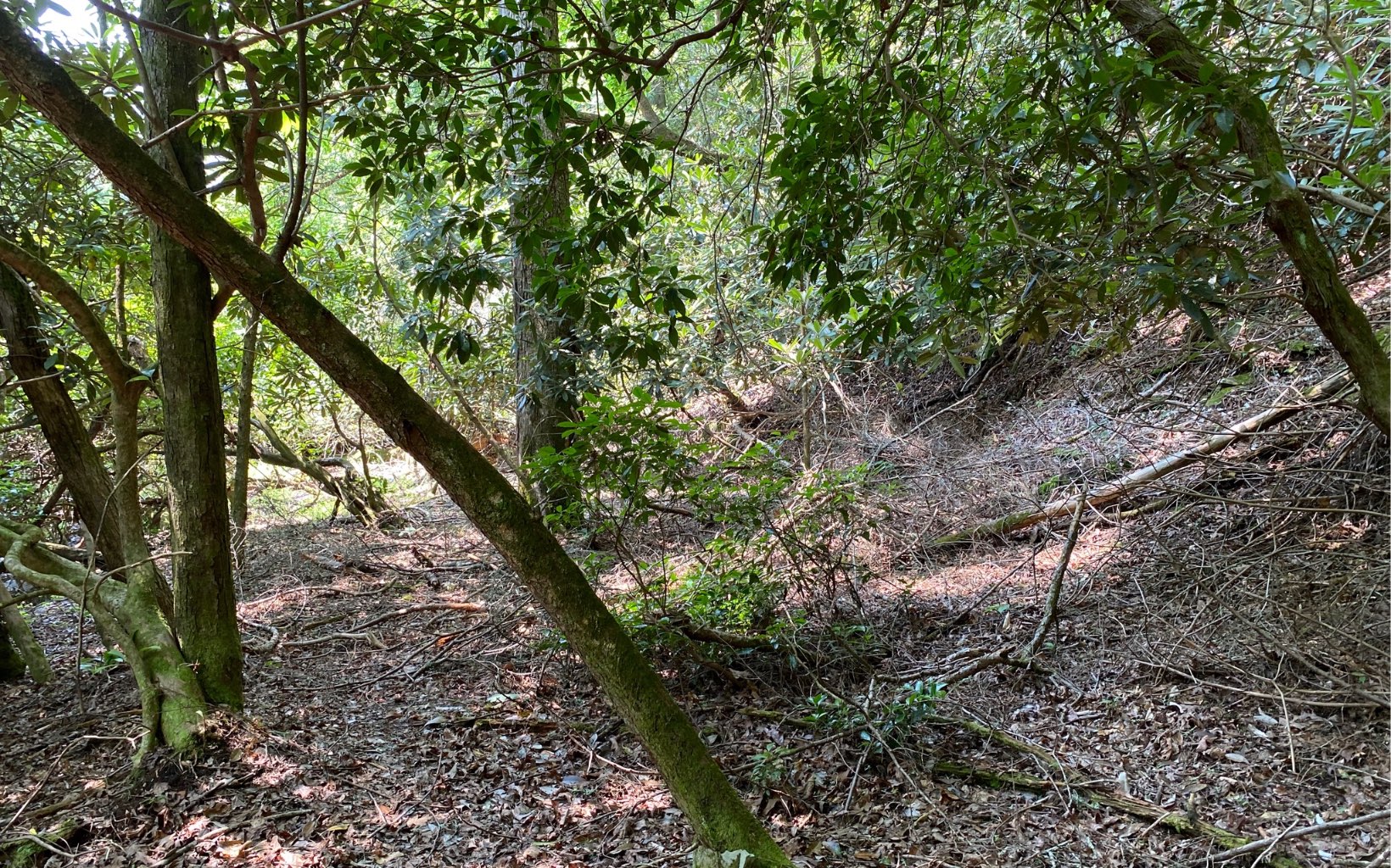 Lot 645 Wedowee Court Ellijay, GA 30540 - Photo 20 of 36 Additional View