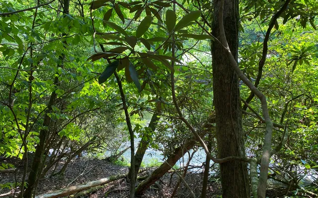 $69,900 | Lot 645 Wedowee Court, Ellijay, GA 30540