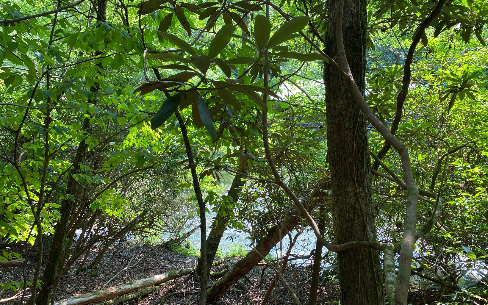 Lot 645 Wedowee Court Ellijay, GA 30540 - Photo 22 of 36 Additional View