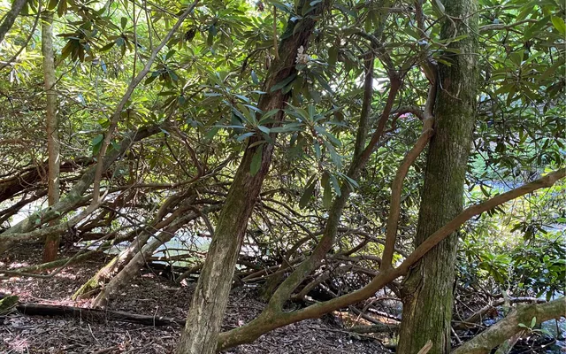 $69,900 | Lot 645 Wedowee Court, Ellijay, GA 30540