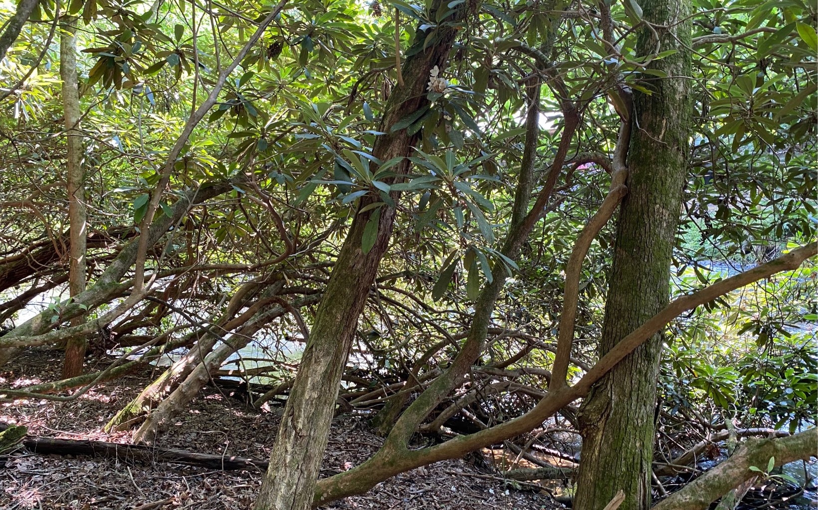 Lot 645 Wedowee Court Ellijay, GA 30540 - Photo 24 of 36 Additional View