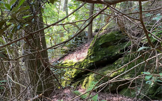 $69,900 | Lot 645 Wedowee Court, Ellijay, GA 30540