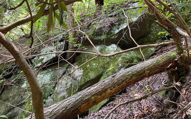 $69,900 | Lot 645 Wedowee Court, Ellijay, GA 30540