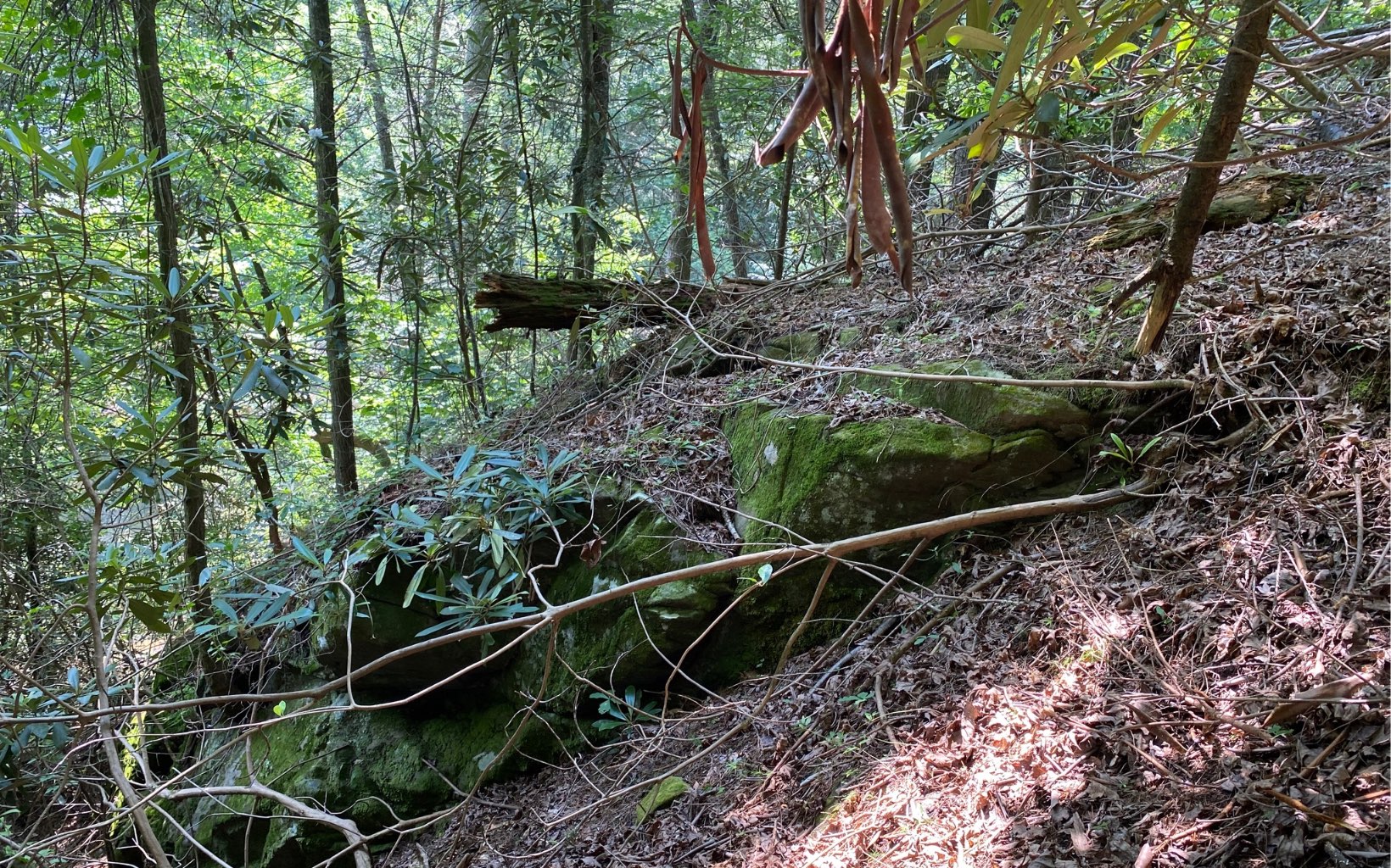 Lot 645 Wedowee Court Ellijay, GA 30540 - Photo 28 of 36 Additional View