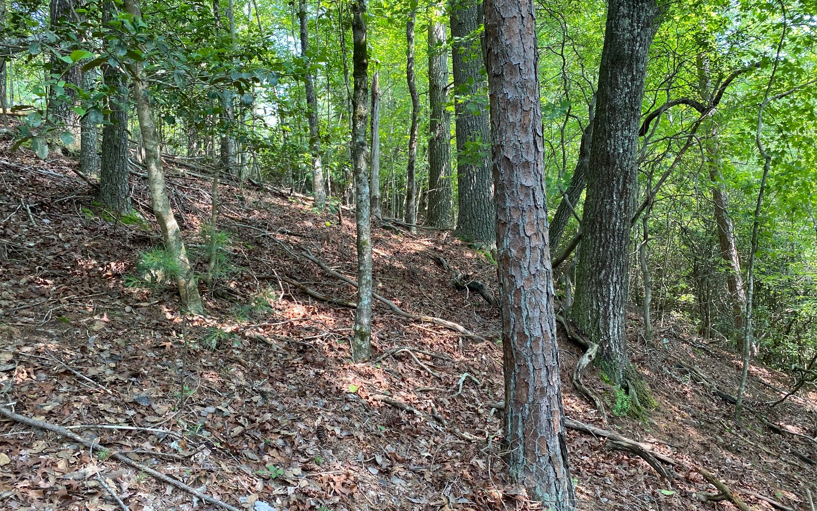 Lot 645 Wedowee Court Ellijay, GA 30540 - Photo 29 of 36 Additional View