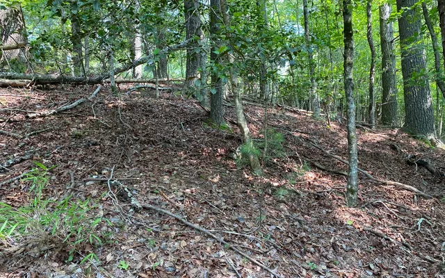 $69,900 | Lot 645 Wedowee Court, Ellijay, GA 30540